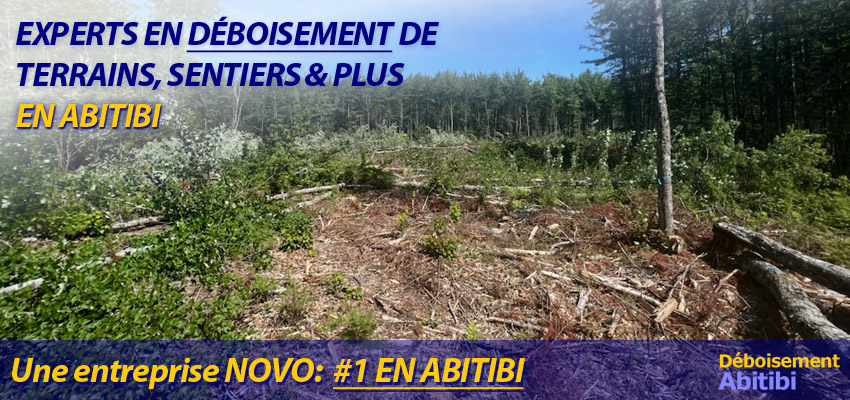 Entrepreneur en déboisement, defrichage de terrain à Val d'Or, Rouyn Abitibi